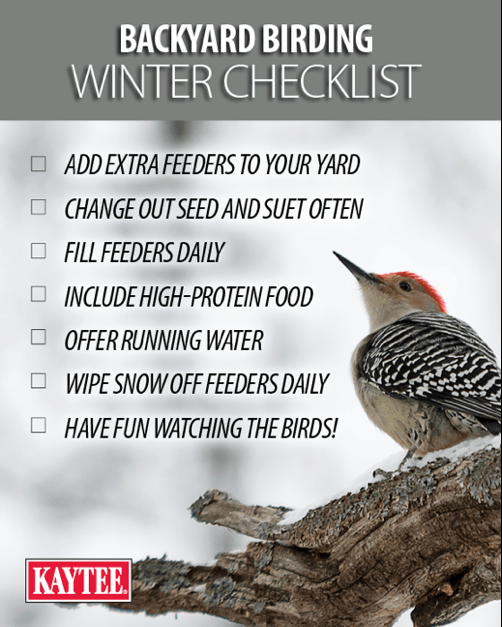 鳥鳥冬清單寵物食品和用品局